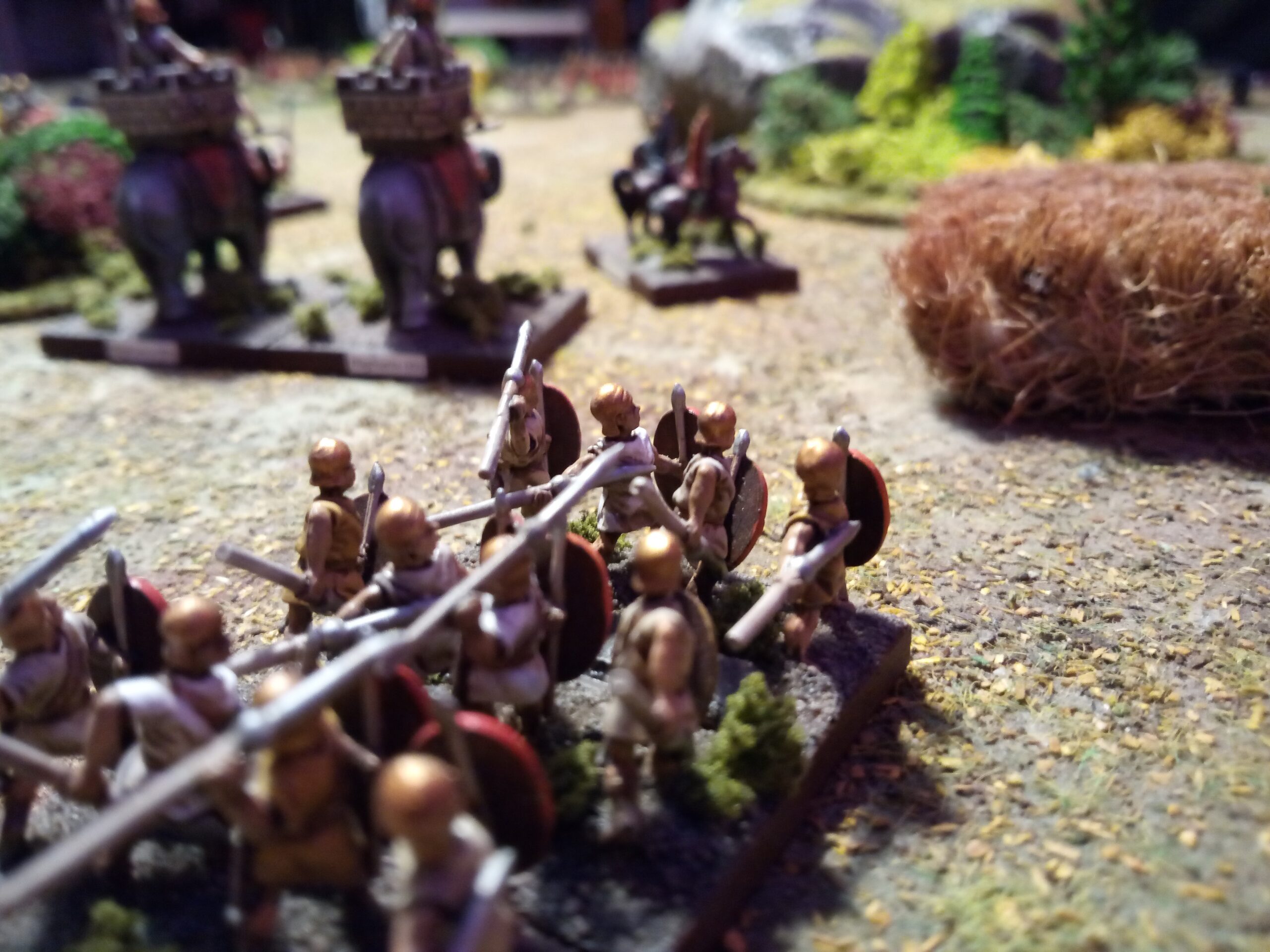Kings of War Historical: The Spanish spearmen slowly advancing through crops to the frontline.